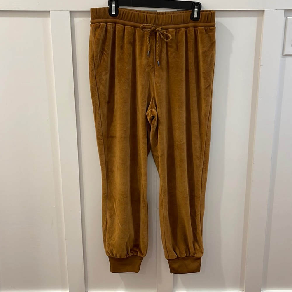 Madewell Velvet Joggers NWT